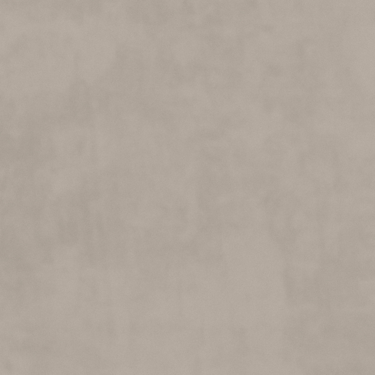 plain  grey Plain curtain and upholstery fabric - Glyndebourne Mist
