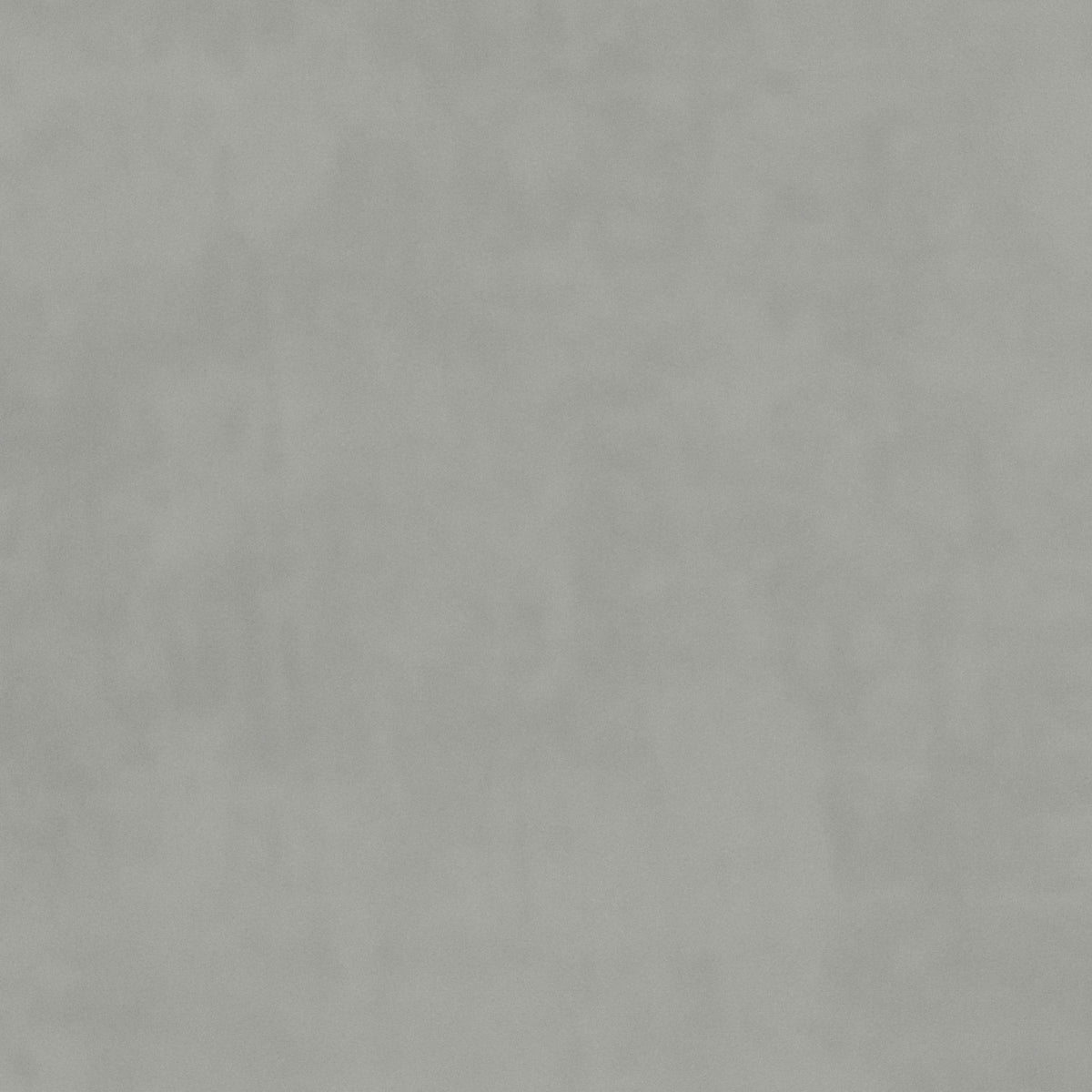 plain  grey Plain curtain and upholstery fabric - Glyndebourne Nimbus