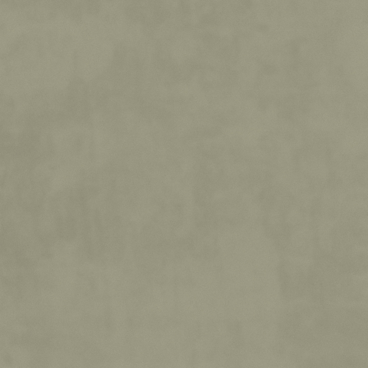 plain  grey Plain curtain and upholstery fabric - Glyndebourne Ash