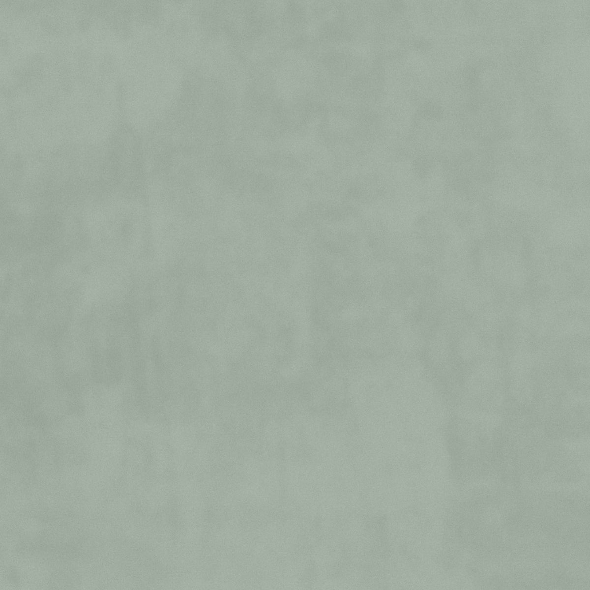 plain  grey Plain curtain and upholstery fabric - Glyndebourne Soft Grey
