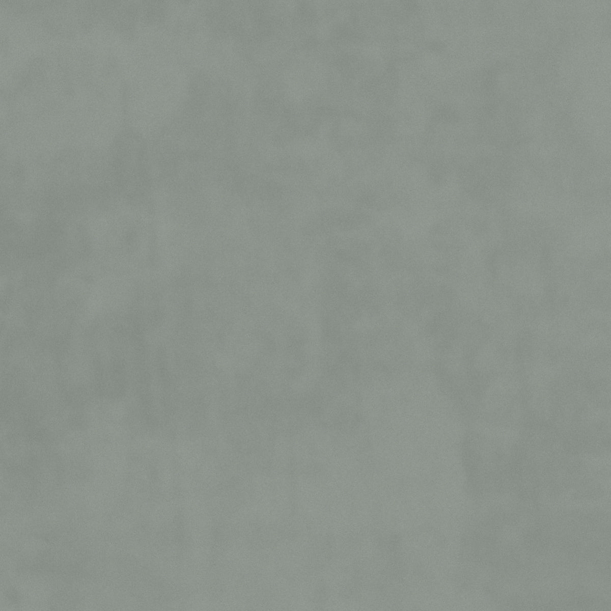 plain  grey Plain curtain and upholstery fabric - Glyndebourne French Grey