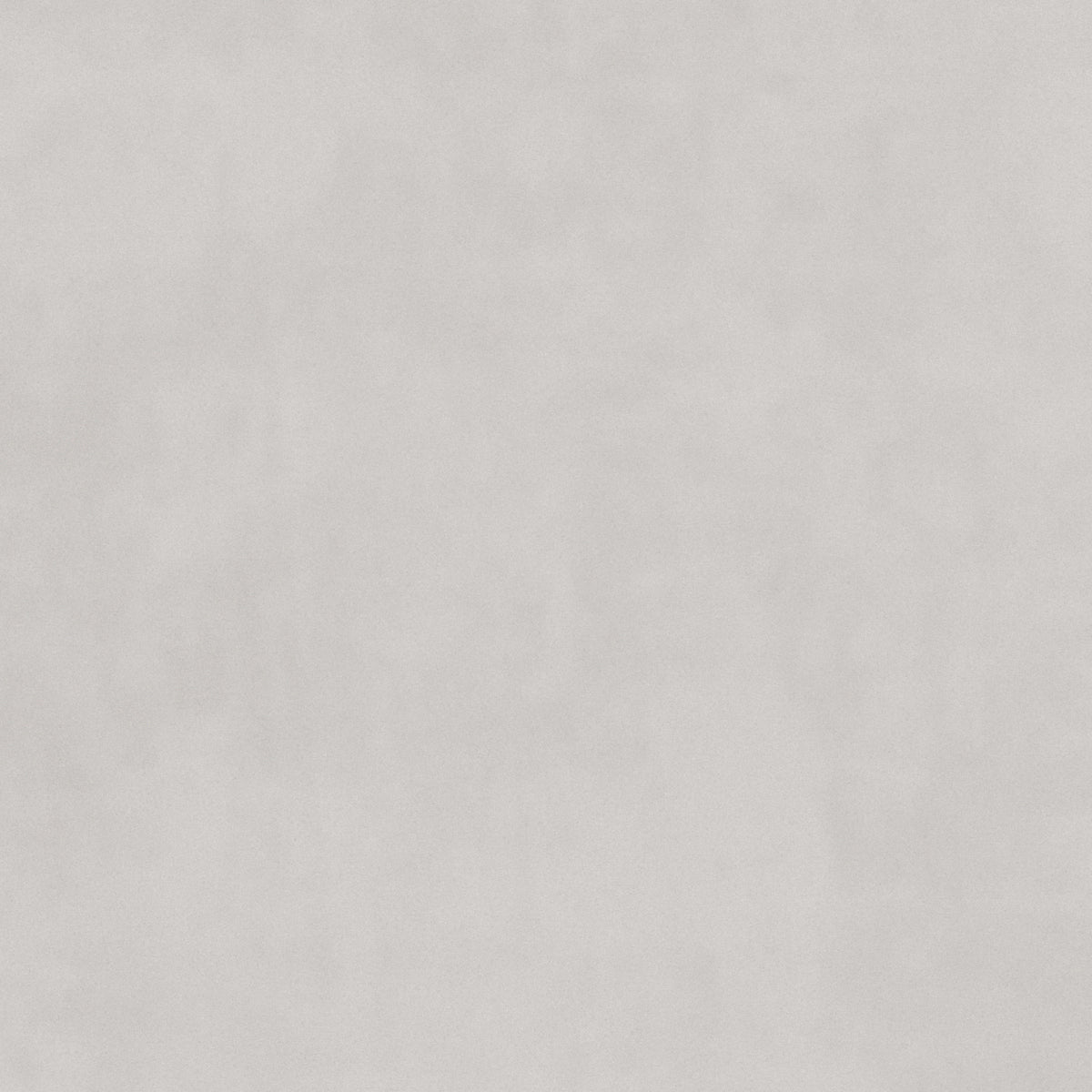 plain  white Plain curtain and upholstery fabric - Glyndebourne Mountain Hare