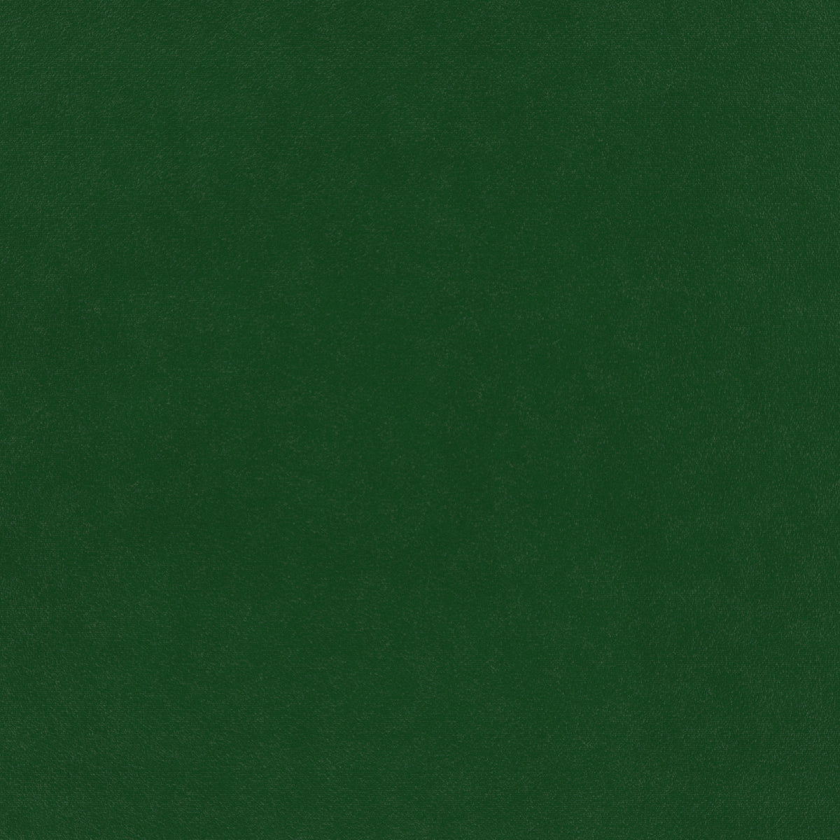 plain  green Plain curtain and upholstery fabric - Glyndebourne Copse