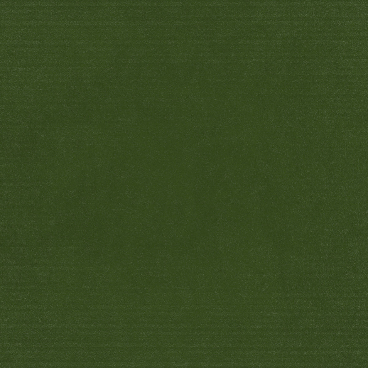 plain  green Plain curtain and upholstery fabric - Glyndebourne Scots Pine