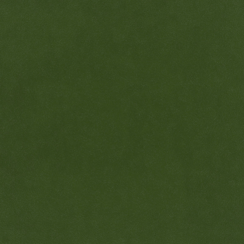 plain  green Plain curtain and upholstery fabric - Glyndebourne Scots Pine