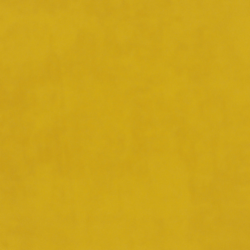 plain  yellow Plain curtain and upholstery fabric - Glyndebourne Primrose
