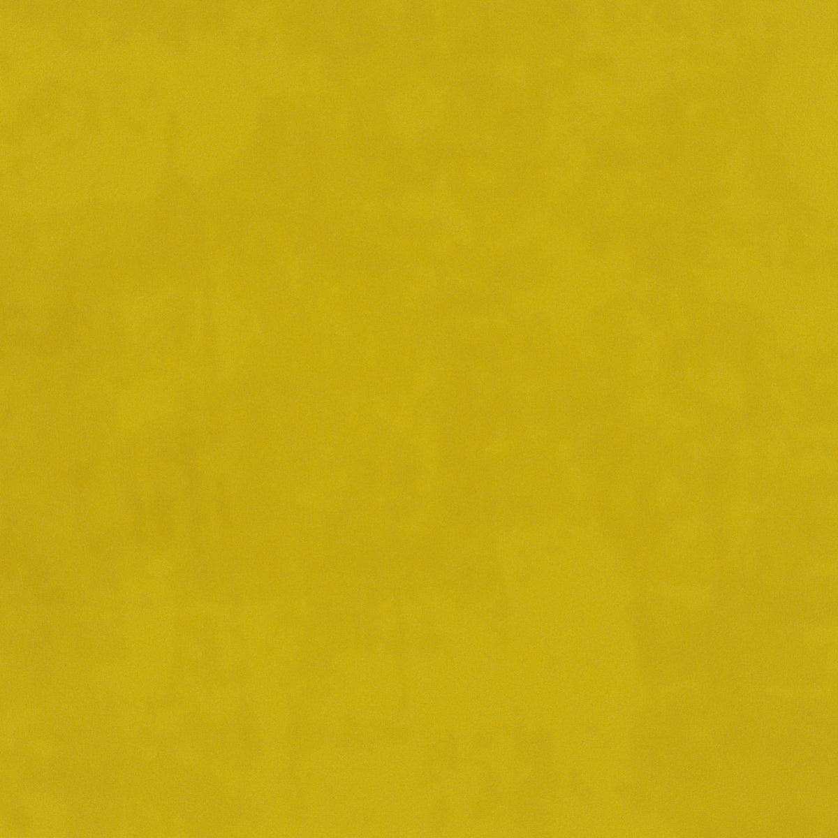 plain  yellow Plain curtain and upholstery fabric - Glyndebourne Citrine