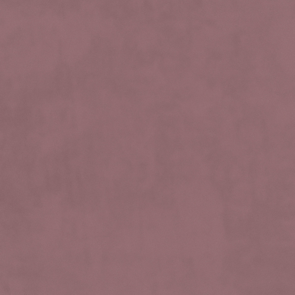 plain  purple Plain curtain and upholstery fabric - Glyndebourne Violet