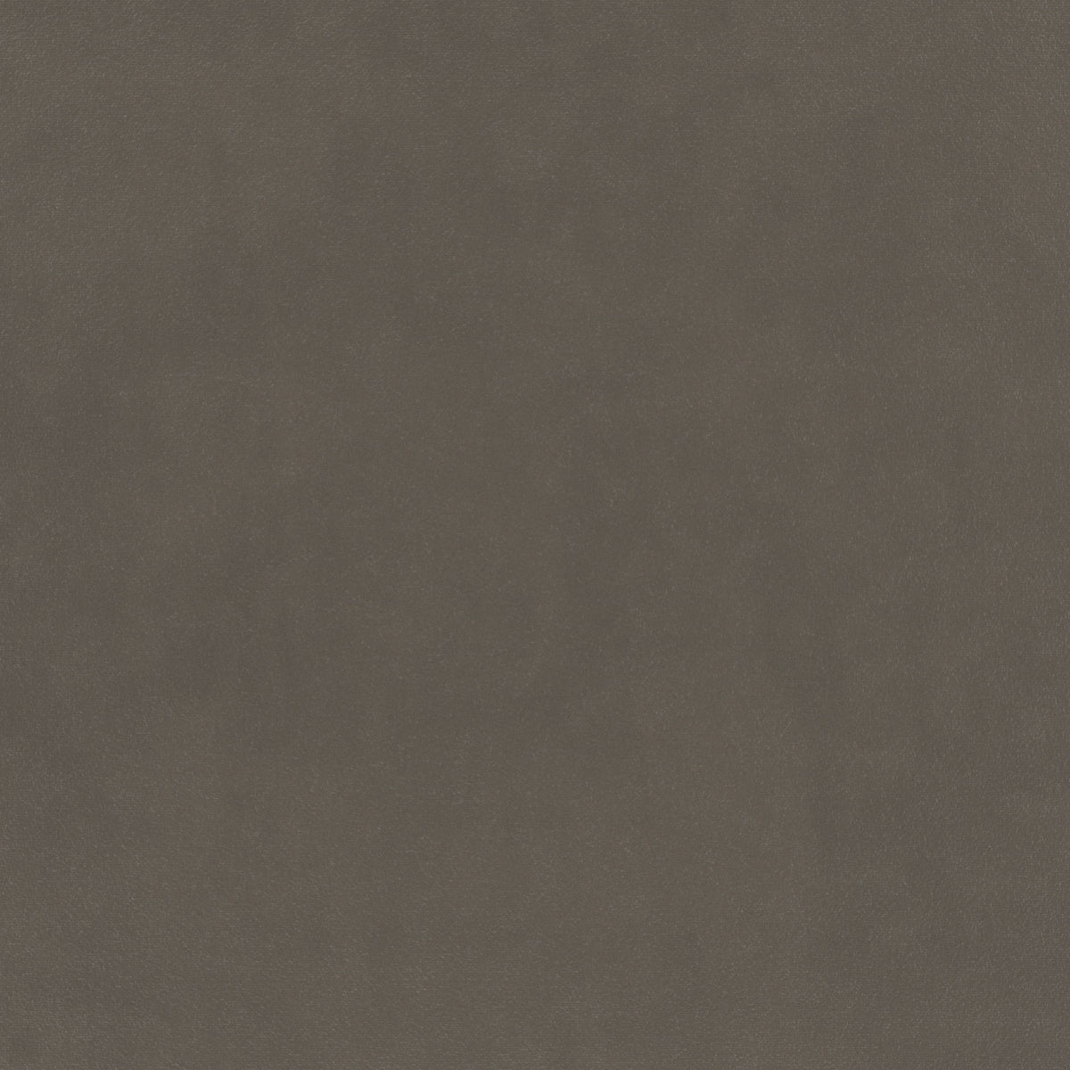 plain  grey Plain curtain and upholstery fabric - Glyndebourne Storm