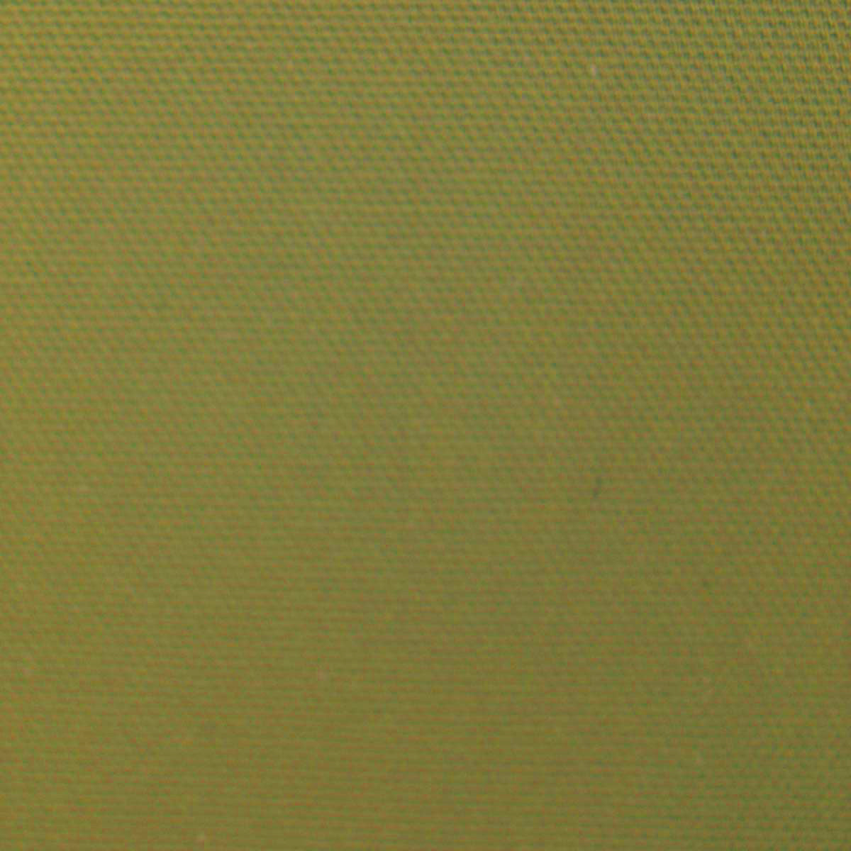 Hardwick Natural Plains Half Panama Olive
