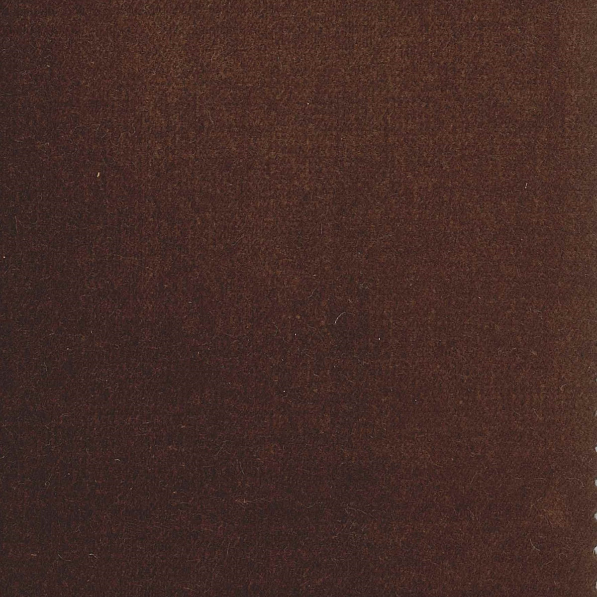 100% Cotton Velvet curtain and upholstery fabric
