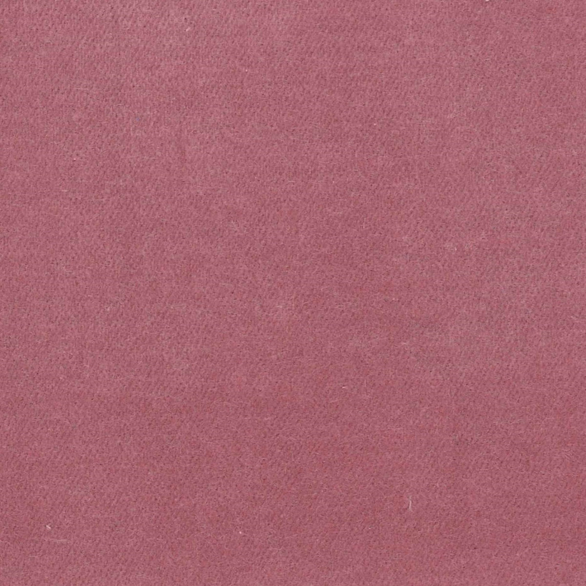 100% Cotton Velvet curtain and upholstery fabric