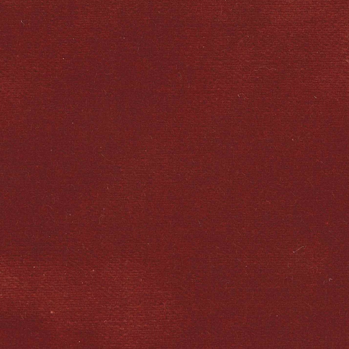 100% Cotton Velvet curtain and upholstery fabric