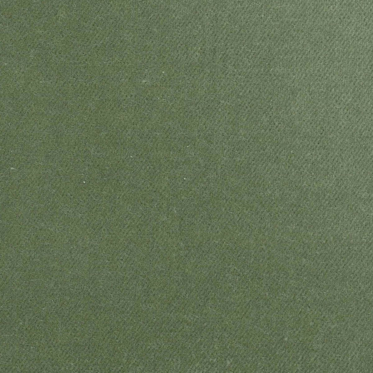 100% Cotton Velvet curtain and upholstery fabric