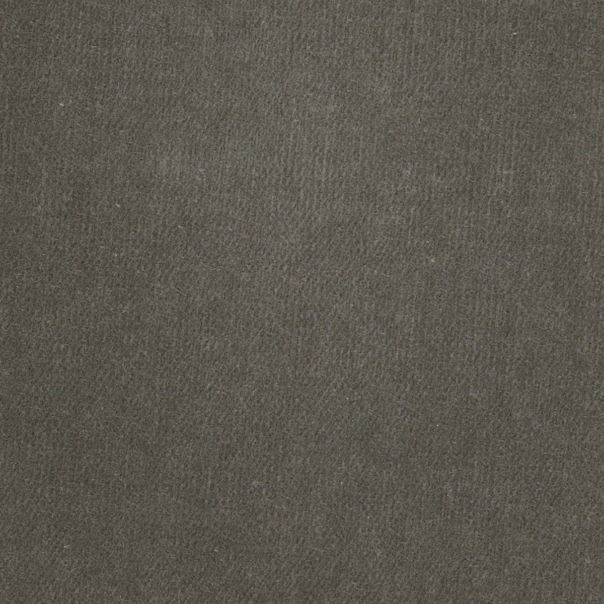 100% Cotton Velvet curtain and upholstery fabric