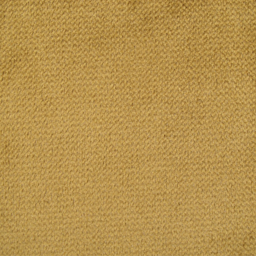 plain  gold velvet curtain and upholstery fabric - Oberon Ingot Plain