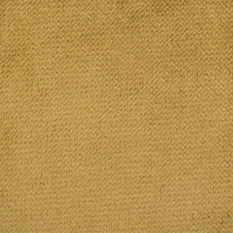 plain  gold velvet curtain and upholstery fabric - Oberon Ingot Plain