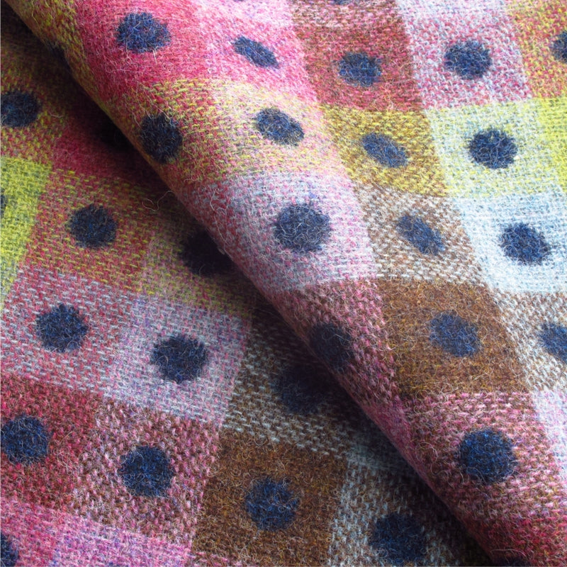 Camden Indigo Check