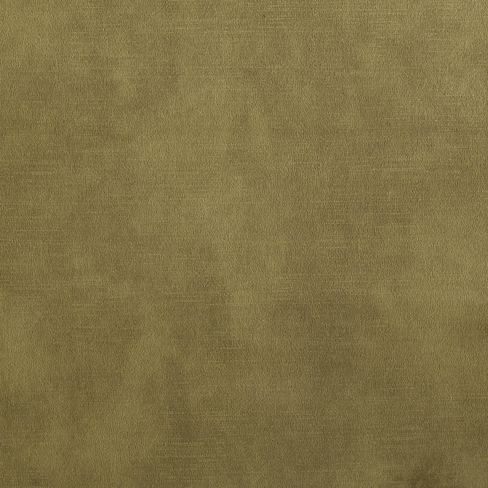 plain  golden Plain curtain and upholstery fabric - Amore Matt Velvet Moss