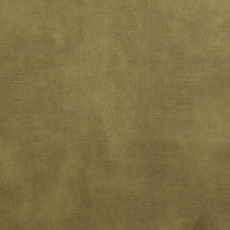 plain  golden Plain curtain and upholstery fabric - Amore Matt Velvet Moss