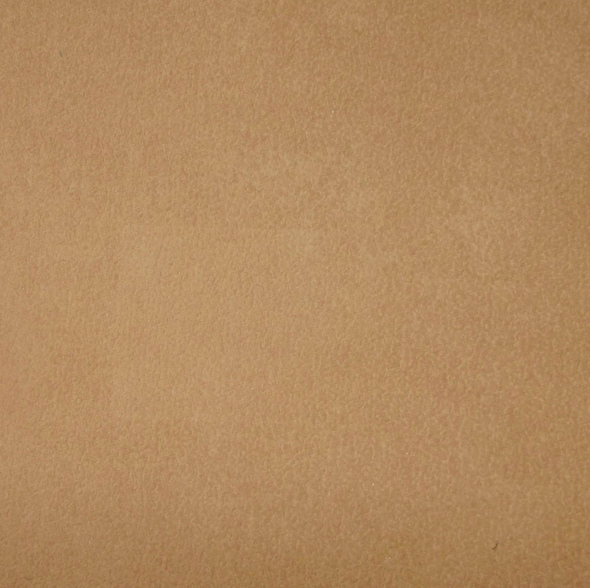 Voris Aquaclean Suede Beige