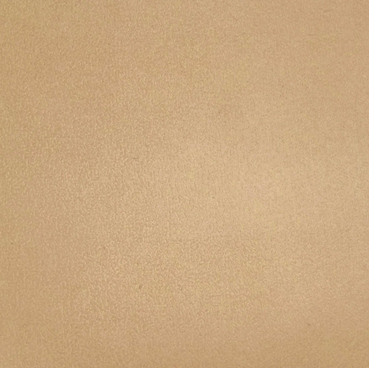 Voris Aquaclean Suede Oyster